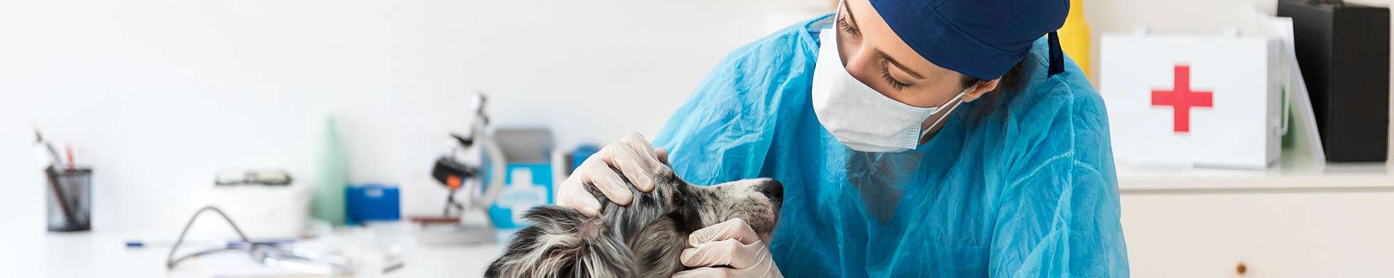 profession libérale long