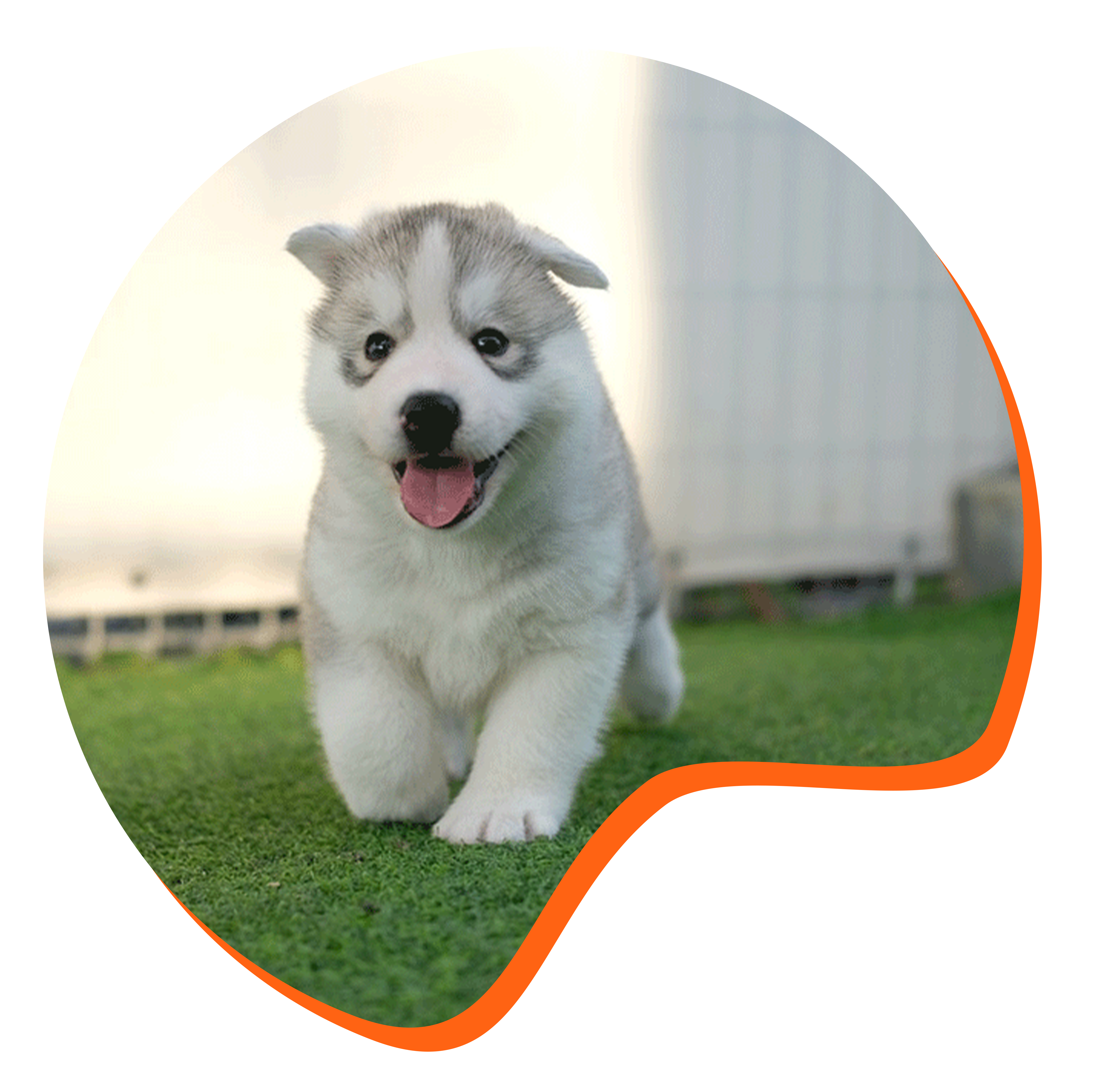 Illustration formation actualisation connaissance